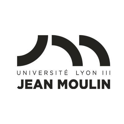 Logo Université Lyon 3
